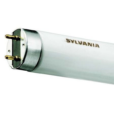 sylvania - F36W/1M/840 - 1504-E⚡shock